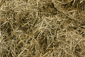 Orange straw pile.