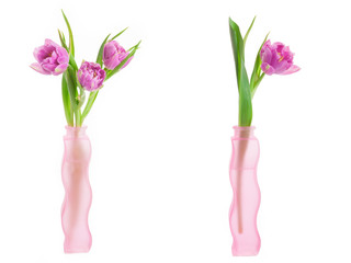 Violet tulips in a figured vase