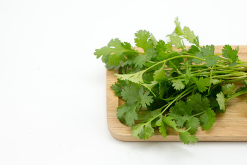 coriander on wooden plate white background 