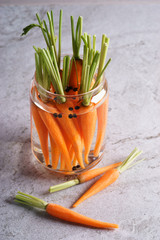 carrot pickles.