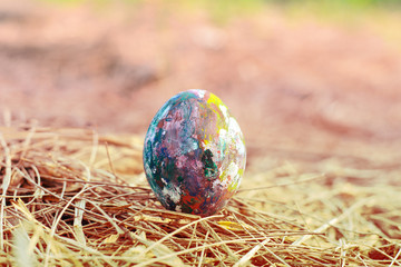 Easter eggs in grass