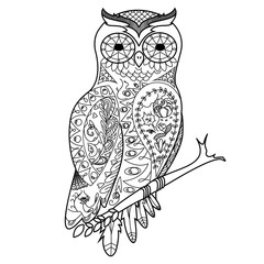 Owl coloring book for adults vector