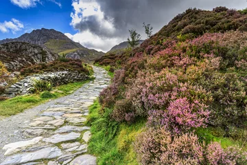 Foto op Canvas Snowdonia national park © chris2766