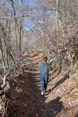 escursione tra le foreste italiane, passeggiata in montagna