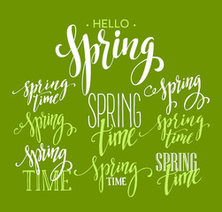 Spring Time, Hello Spring lettering set. Vector illustration