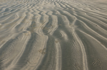 Sand texture