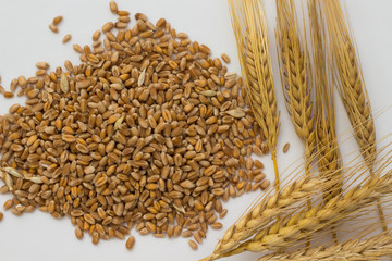 Wheat, barley and wheat sticks on a white background. Top view
