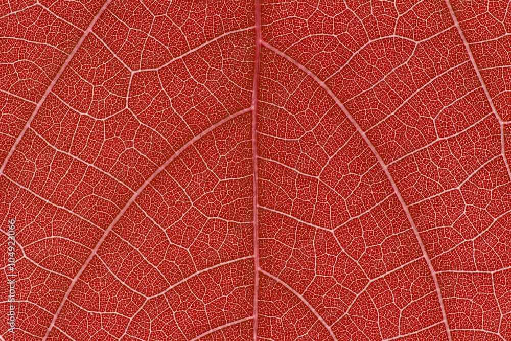 Aufkleber Design on leaf for pattern and background
