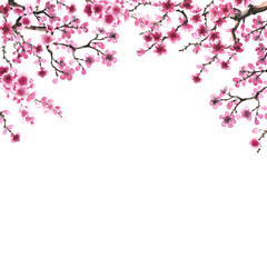 Obraz na płótnie Canvas hand-drawn branch of sakura