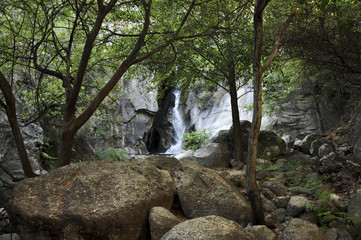 Obraz premium Bosque con cascada