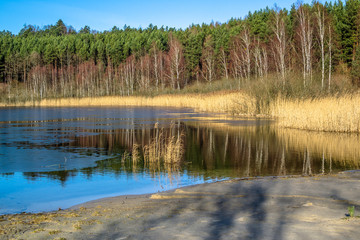 Early spring landscape with lake and forest 