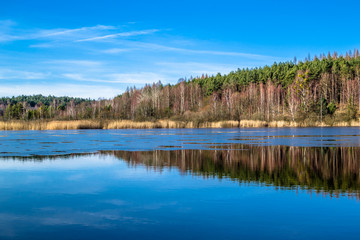 Early spring landscape with lake and forest 