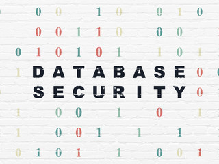 Security concept: Database Security on wall background