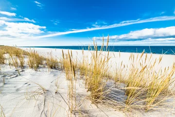Zelfklevend Fotobehang Sea landscape with sandy dunes and grass © alicja neumiler