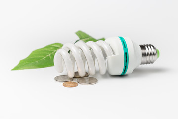 energy saving lamp coins and green leaves