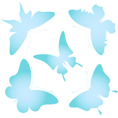 butterflies design