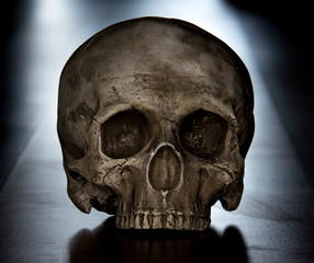 Scary scull