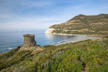 ALBO - CAP CORSE