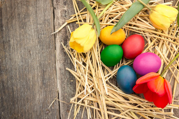 Easter eggs with tulips