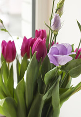 Bouquet of fresh purple tulips and eustoma flower
