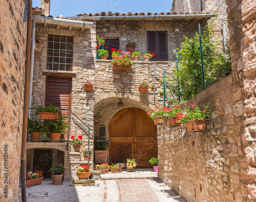 Ingresso romantico di casa storica con vasi di fiori