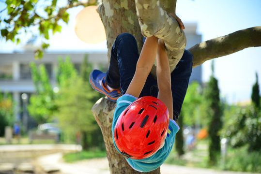 Bopy with red helmet climbing a tree