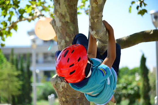 Bopy with red helmet climbing a tree