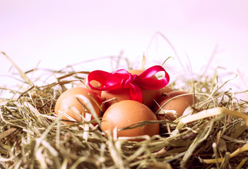 Fresh chicken eggs with hay nest and pink bow