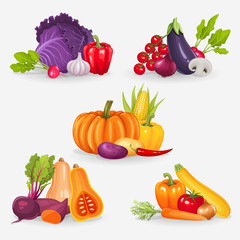 Set of fresh vegetables. Healthy food vector illustration background.
