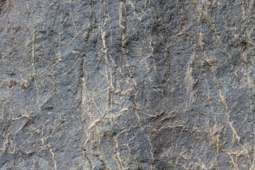 Naklejka premium surface of the marble