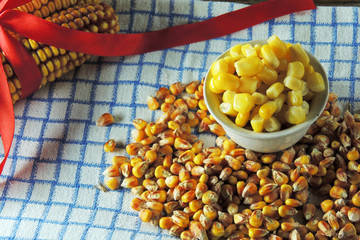 Canned corn and wet corn