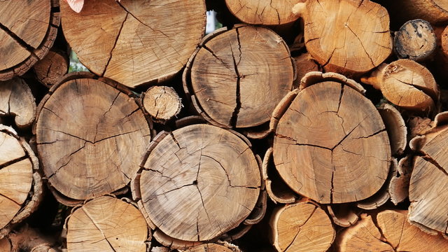 panning shot of Pile of wood logs storage for background