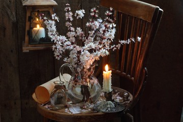 still life with flowering branches of apricot and candle