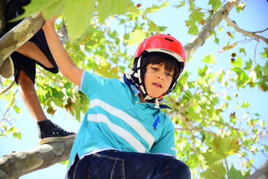Bopy with red helmet climbing a tree