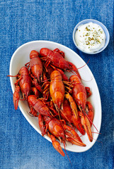 Boiled red crayfish on a white dish with sauce of grated horseradish in a gravy boat. top view