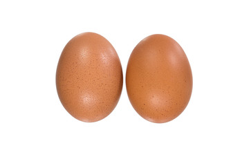 eggs on white background