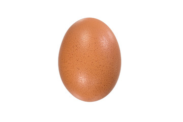 eggs on white background