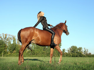 Woman riding horseback summer fields
