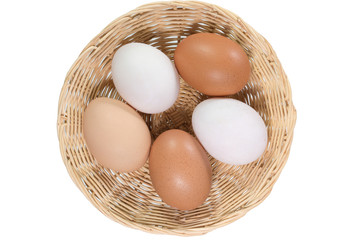 eggs on white background