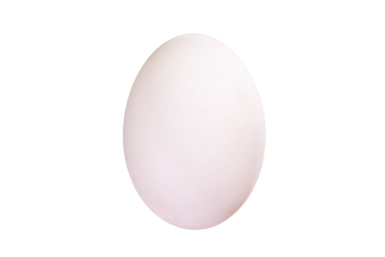 eggs Isolated on white background