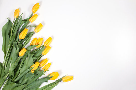 bouquet of yellow tulips for the holidays on a white background