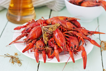 Boiled crayfish on a white plate and a glass of beer,horizontal