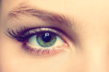eye