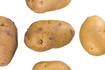 potato on white background