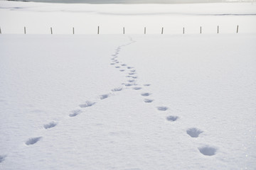 北海道の冬