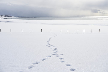 北海道の冬