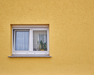 window with flowers on colorful yellow wall