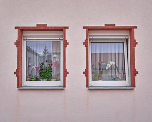 two vintage framed windows with flowers on pink wall