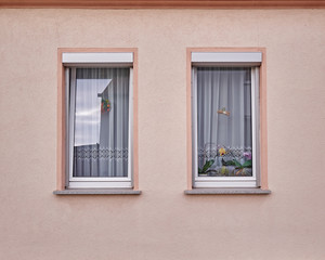 Fototapeta na wymiar two windows with flowers on light pink wall