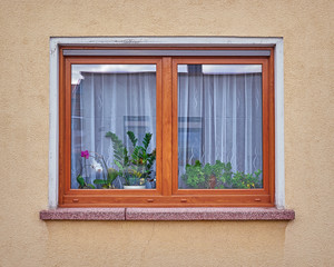 window with flowers on ocher colored wall